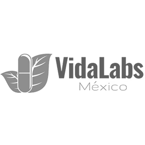 Vidalabs